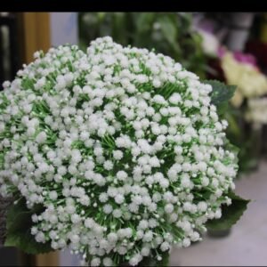 بيبي فلاور صناعي