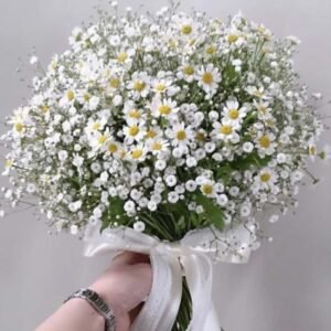 جرب عروسه طبيعي بيبي فلاور