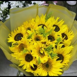 عباد شمس طبيعي