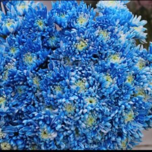 كرازنتم ازرق