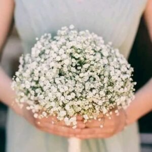 جرب طبعيعي بيبي فلاور