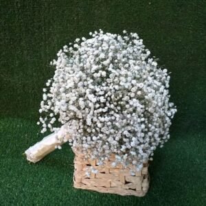 جرب طبيعي بيبي فلاور بهاند ستان بيضاء