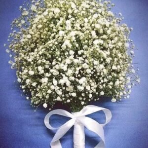 جرب طبيعي بيبي فلاور فقط بعاند ستان بيضا