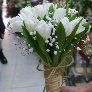 جرب طبيعي توليب